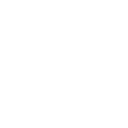 Experienced Team